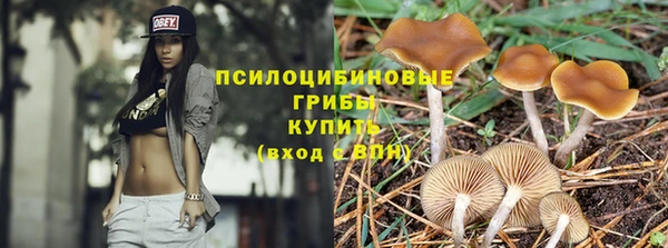 ешки Белоозёрский