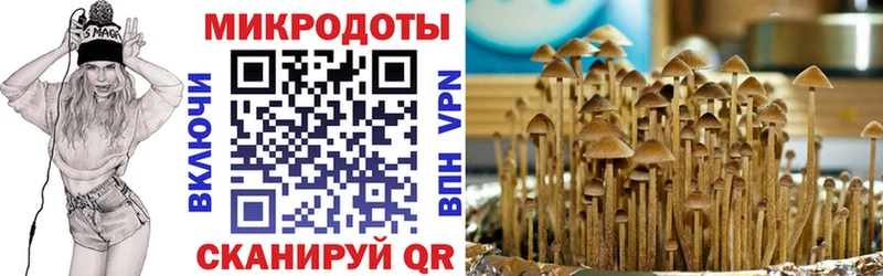 Галлюциногенные грибы Cubensis Демидов